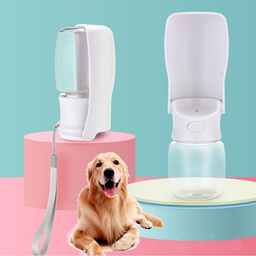 Thirsty Pup? Grab This Handy Foldable Water Bottle!